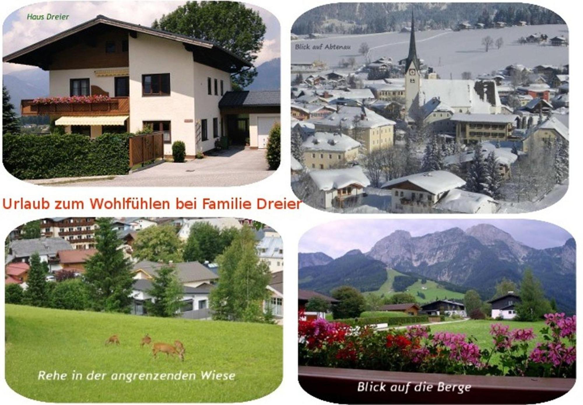 Apartment Dreier - Salzburger Land Abtenau Dış mekan fotoğraf