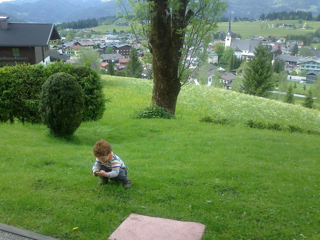 Apartment Dreier - Salzburger Land Abtenau Dış mekan fotoğraf