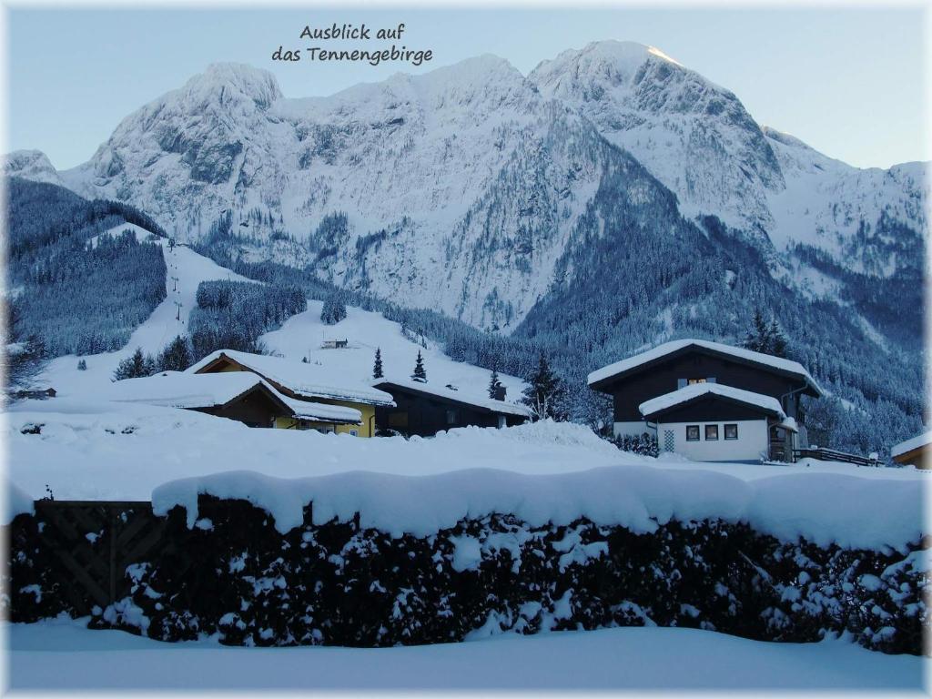 Apartment Dreier - Salzburger Land Abtenau Dış mekan fotoğraf