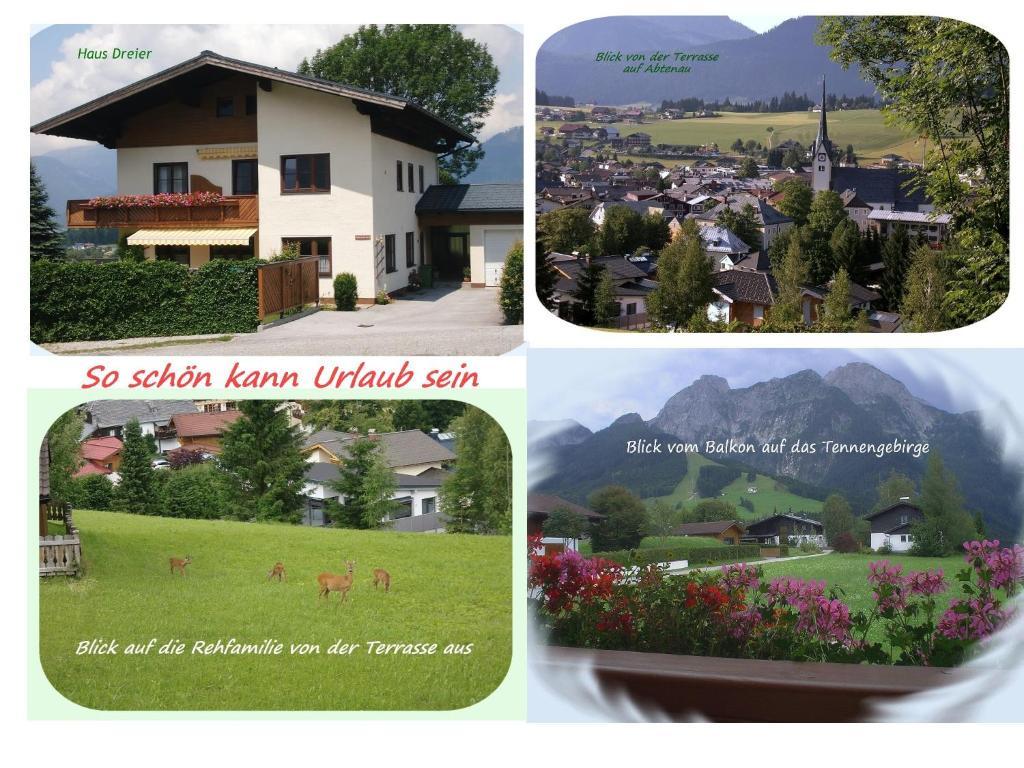 Apartment Dreier - Salzburger Land Abtenau Dış mekan fotoğraf