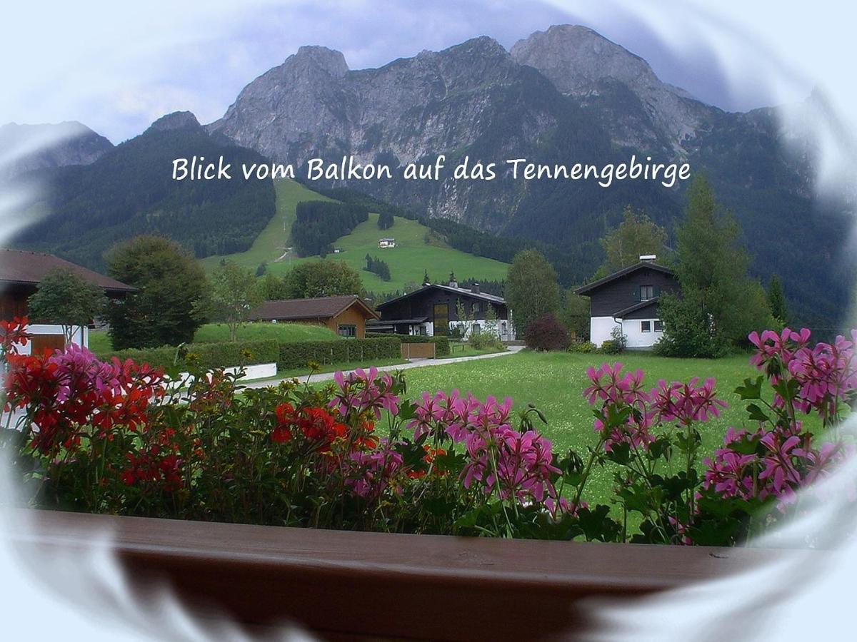 Apartment Dreier - Salzburger Land Abtenau Oda fotoğraf