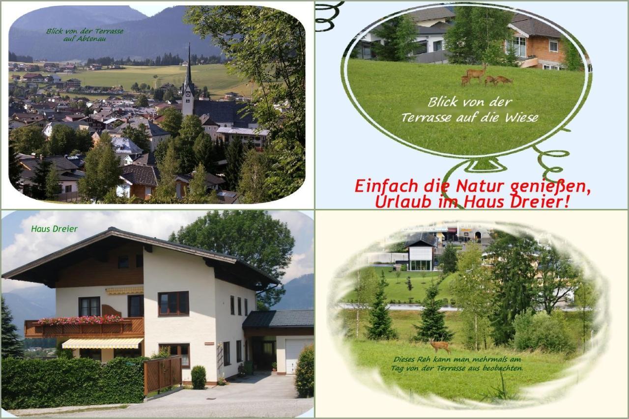 Apartment Dreier - Salzburger Land Abtenau Dış mekan fotoğraf
