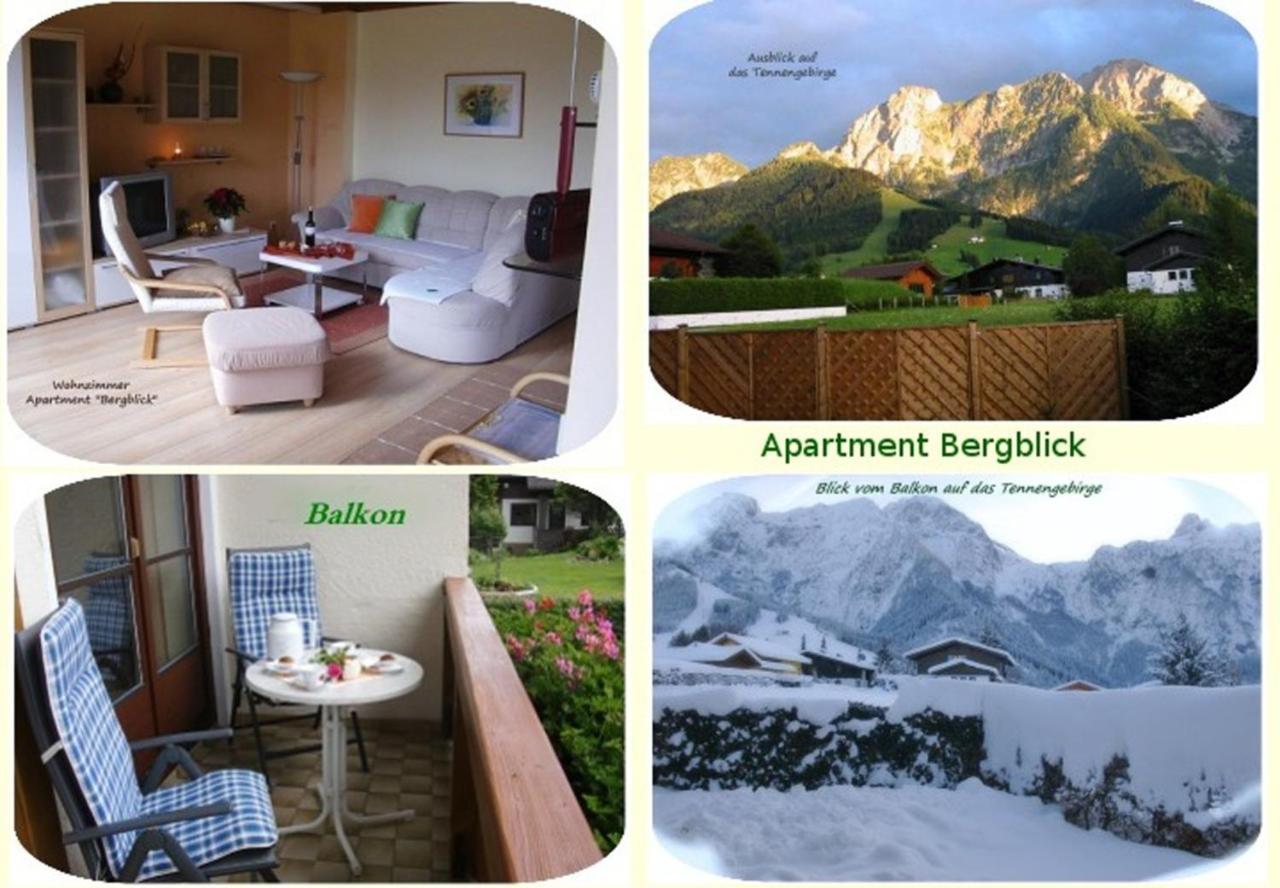 Apartment Dreier - Salzburger Land Abtenau Dış mekan fotoğraf